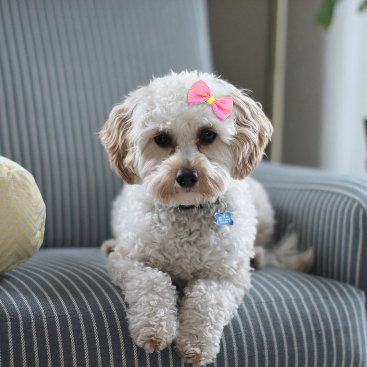 

Hair Pet Clip Dog Hairpin Bows Clipsdogs Puppy Bow Barrettes Bowknotexquisite Small Barrette Accessory Animal Adorable Hairpins