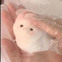 Антистресс котятки#4