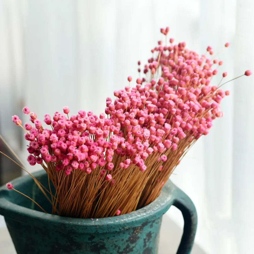

50 Stems Dried Flowers Happy Flower Natural Plants Bouquet Decorative Floral for Home Wedding Decoration Festival Party Supplies