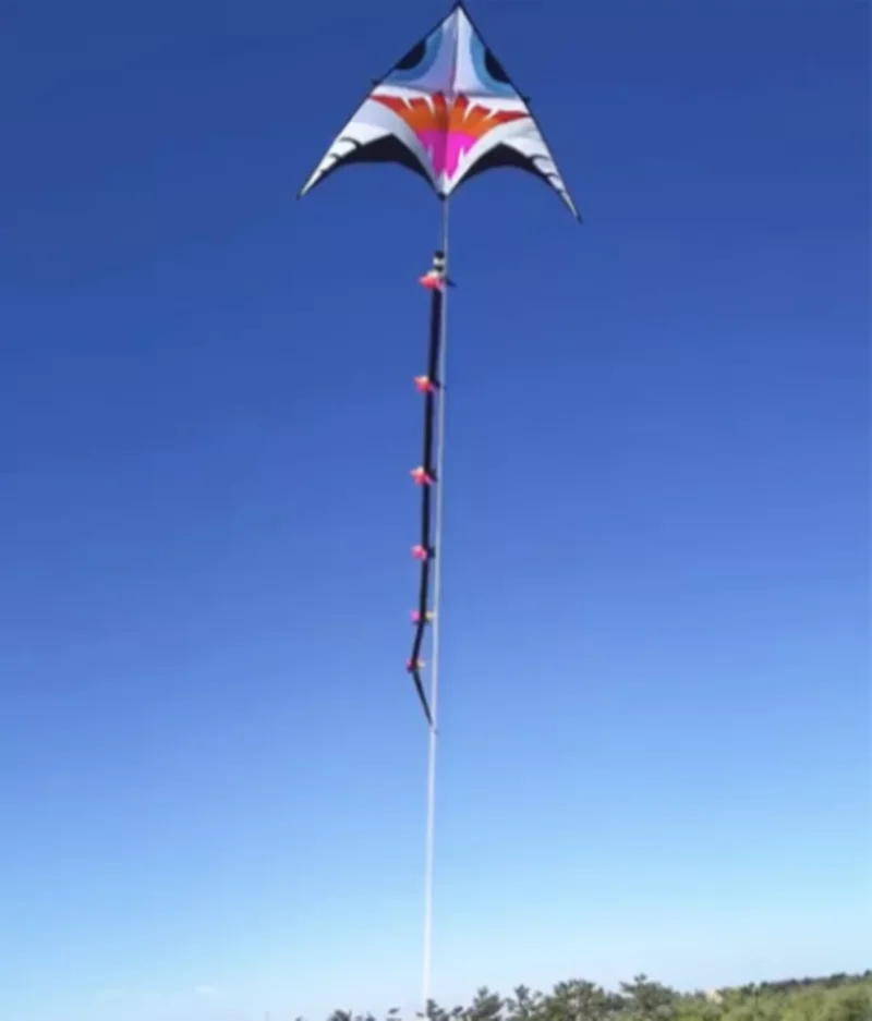 Бесплатная доставка гигантские воздушные змеи хвосты ветроуказатели летающие