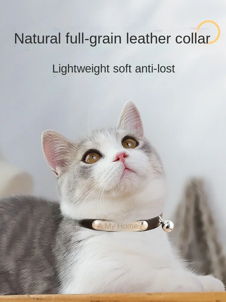 Ошейник для кошек и собак персонализированный аксессуар с гравировкой имени |