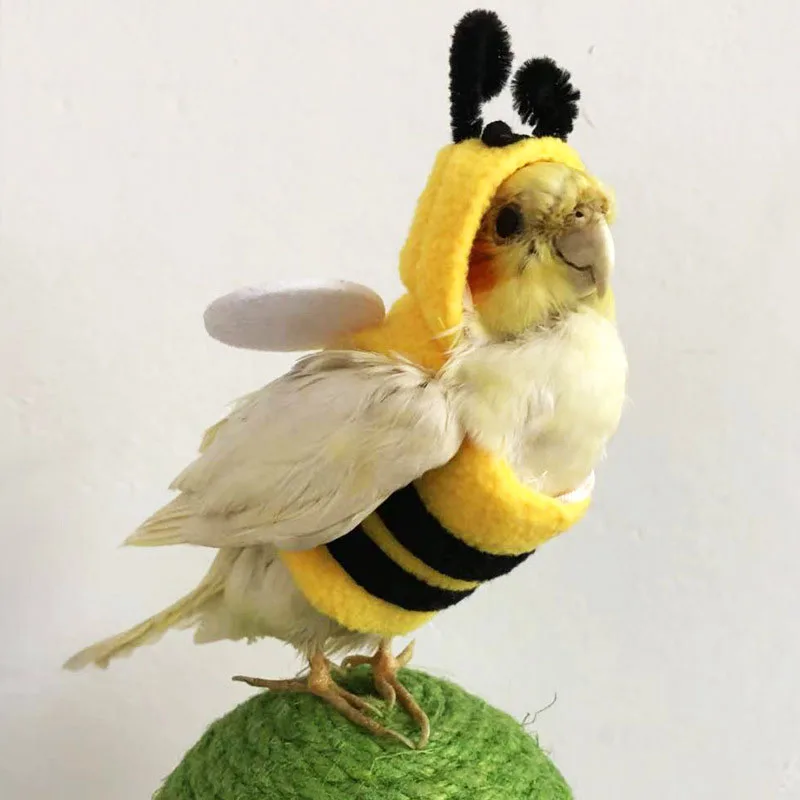 

Funny Bee Shaped Birds Clothes Flying Suit Parrots Costume Cosplay Winter Warm Hat Hooded Pet Accessories for Parakeet Cockatiel