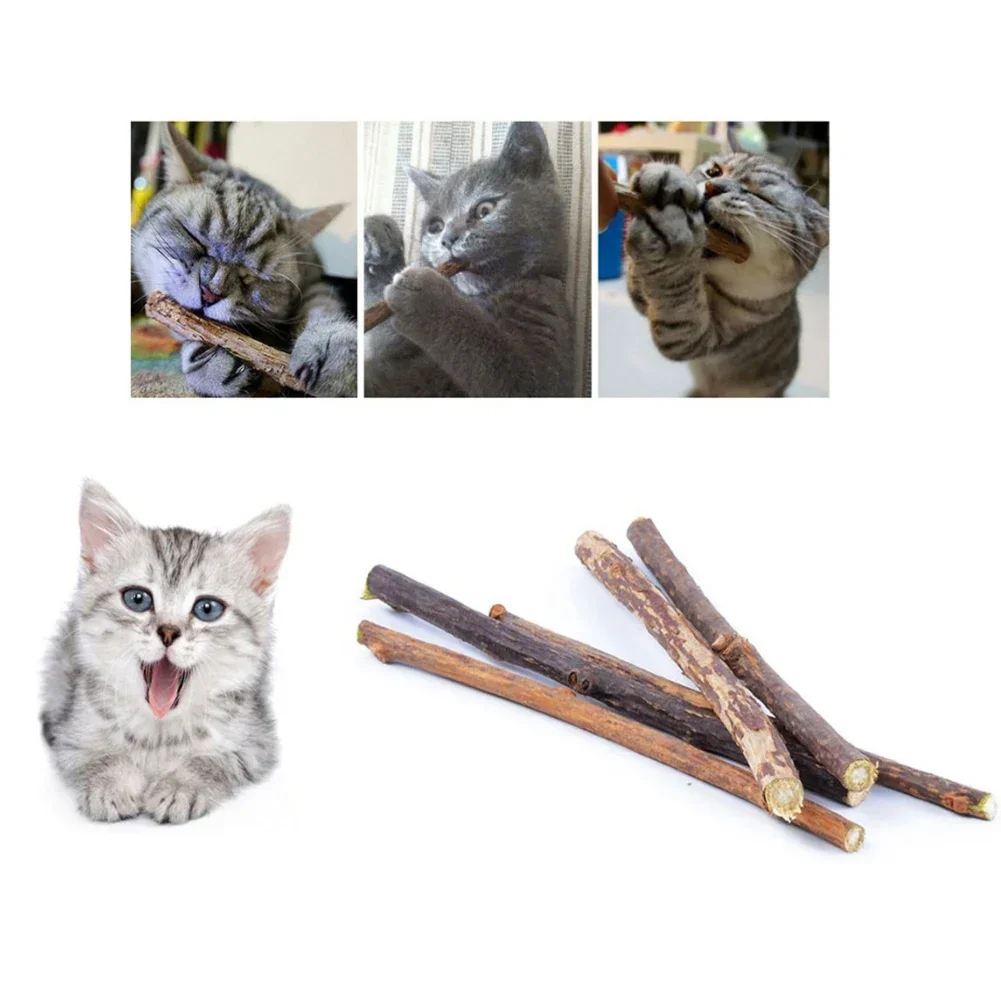 Silvervine Sticks для Katzen natürliche Katzenminze Kausticks Zhapne Backenzahn Kauspielzeug Kingenchen