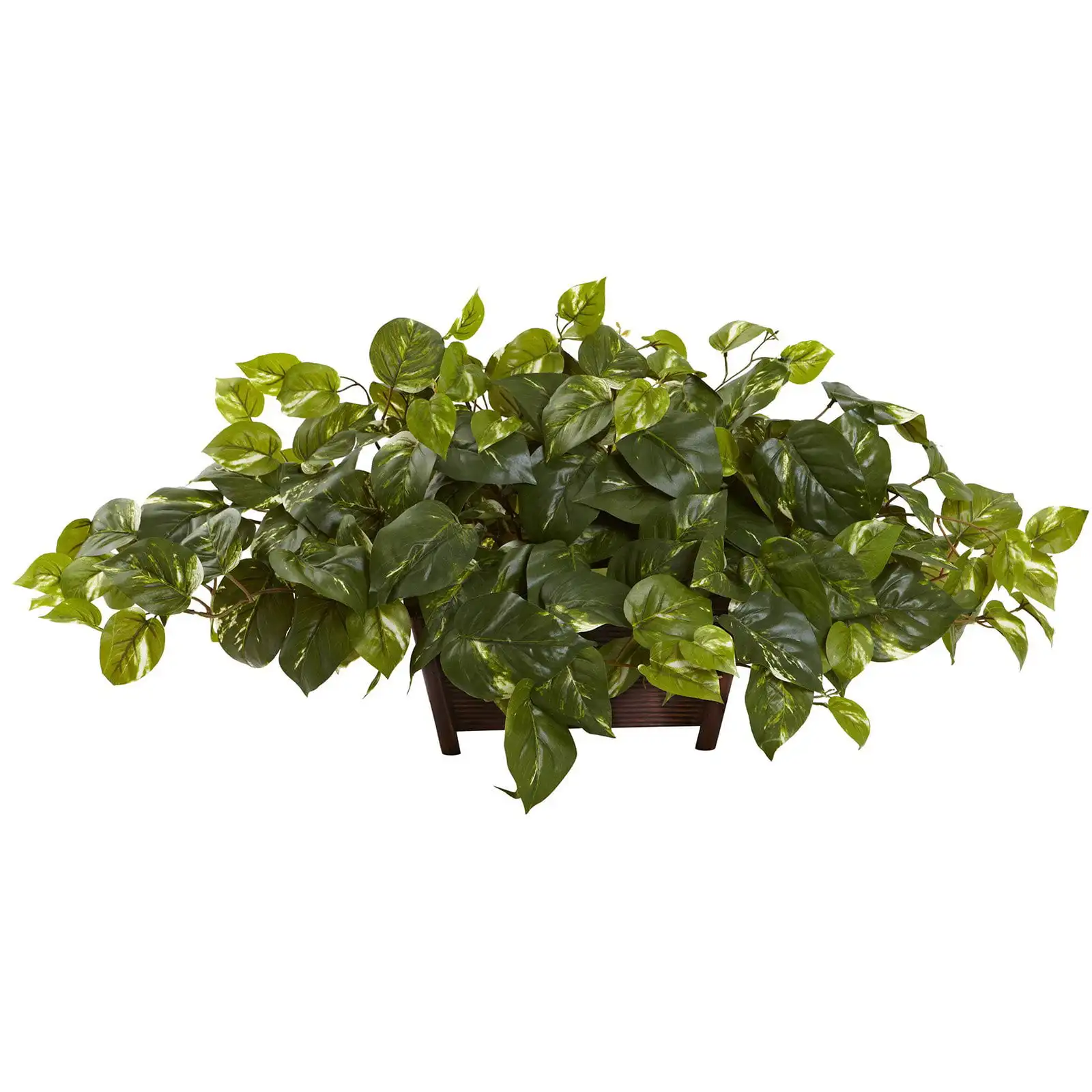 

Pothos Window Box Silk Plant