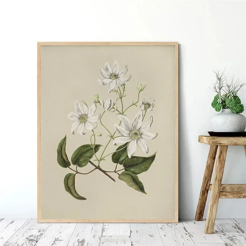 Нейтральная ботаническая печать фотосессия шесть постер цветок винтажная