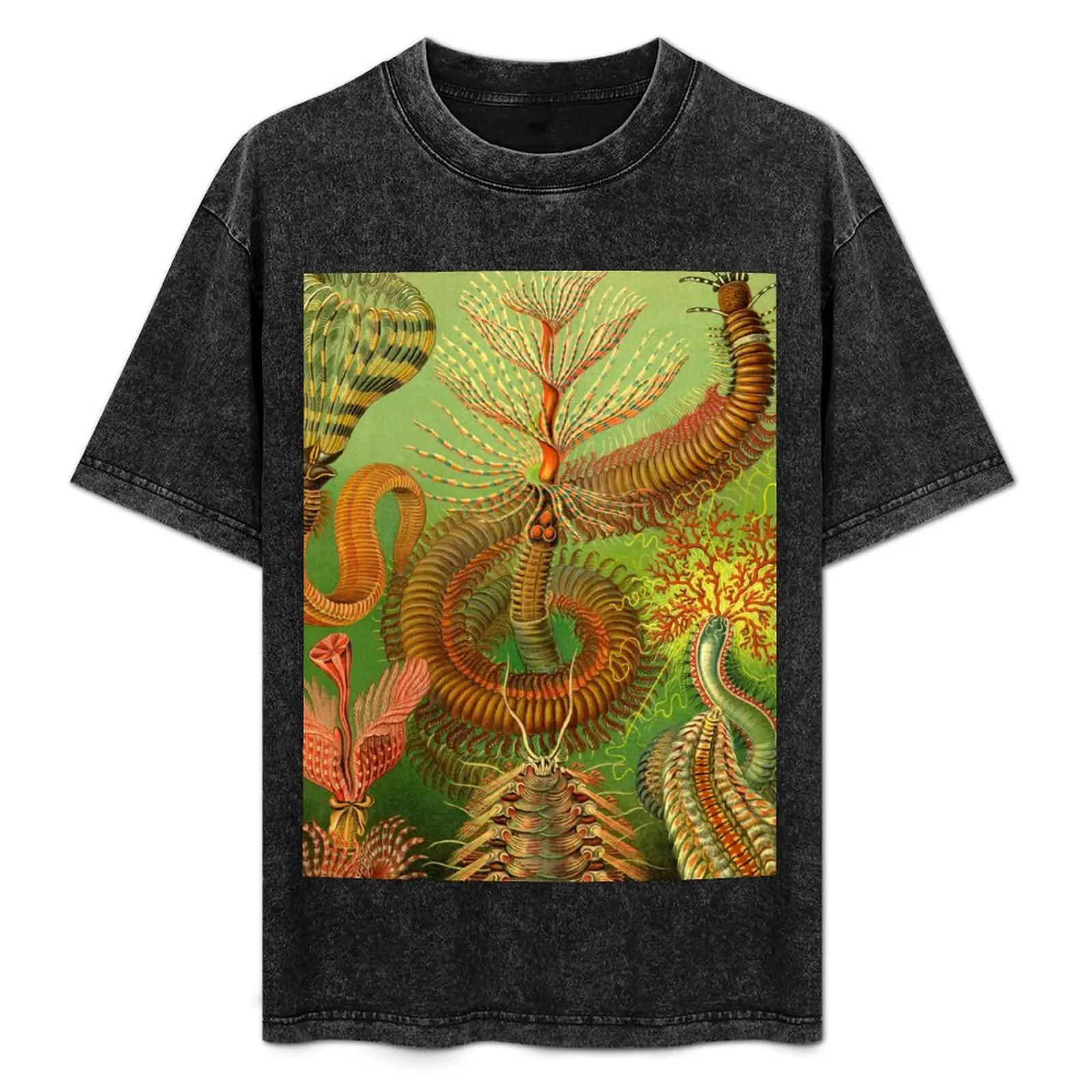 Sea Worms футболка Ernst Haeckel хлопковая мужская