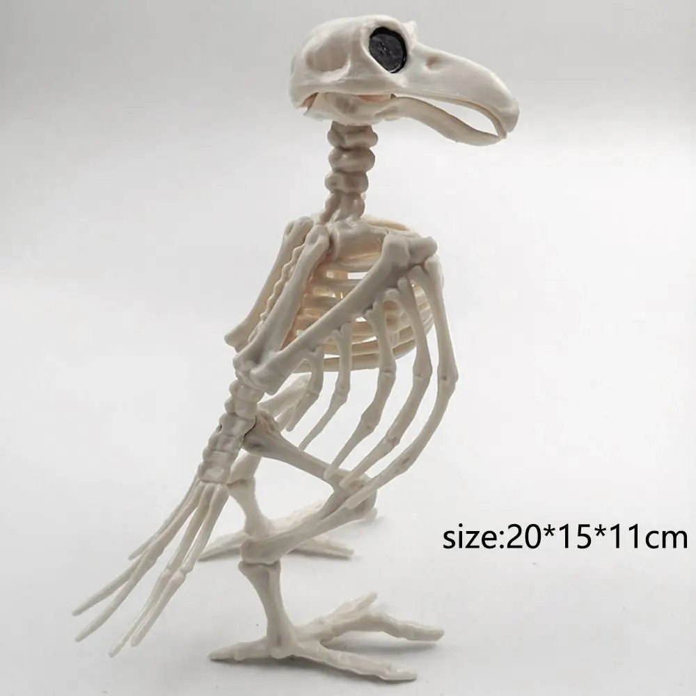 Фото Crazy Bone Skeleton Raven пластиковые скелеты животных, кости, ужас, реквизит для птиц, Ворон, скелет, украшение №5