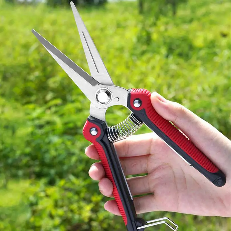 

Picking Scissors Pruning Branches And Leaves Powerful Gardening Scissors Picking Fruit Garden Tools Pruning Shears Tpr Scissors