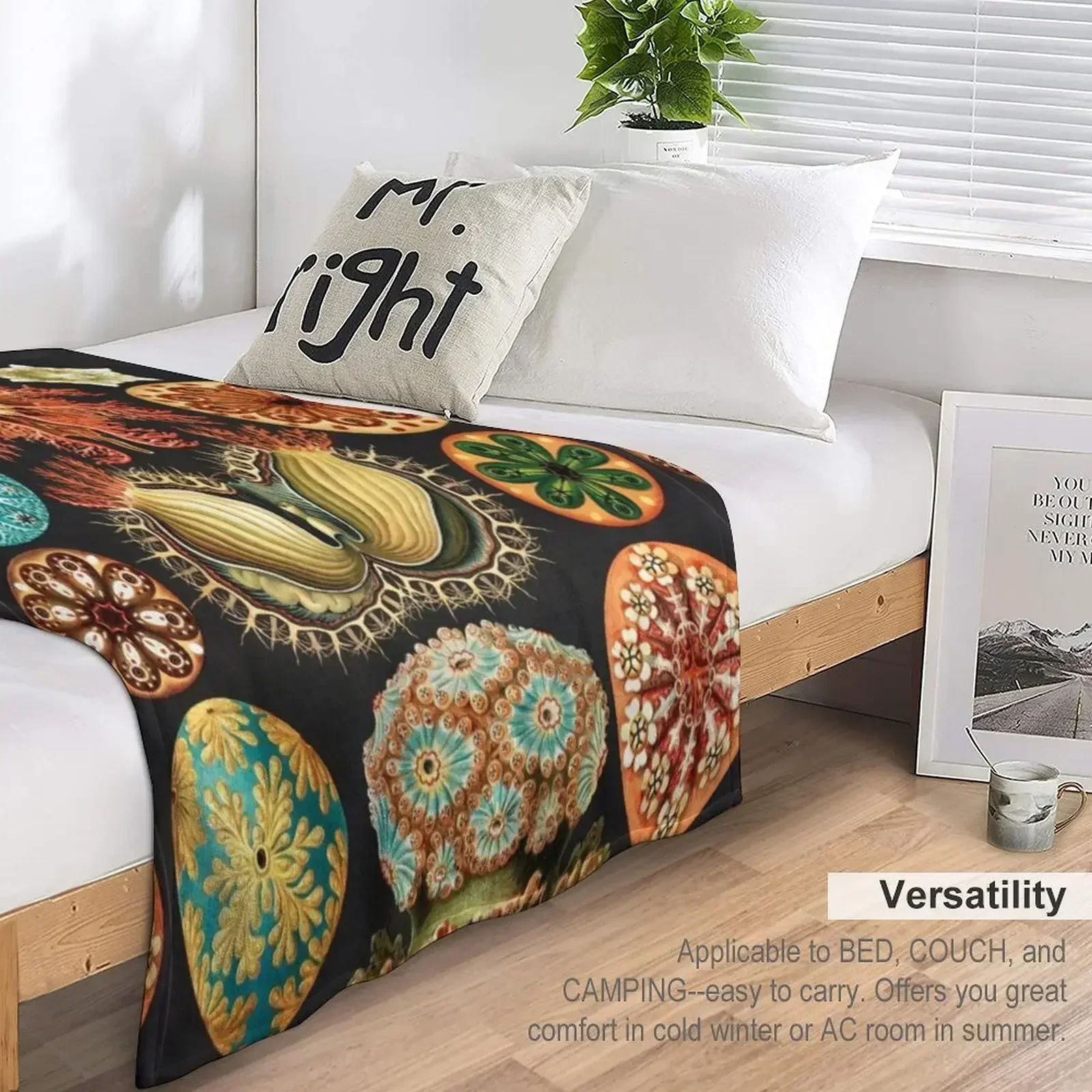 Одеяло Artforms in Nature от Ernst Haeckel пушистые туристические одеяла для дивана