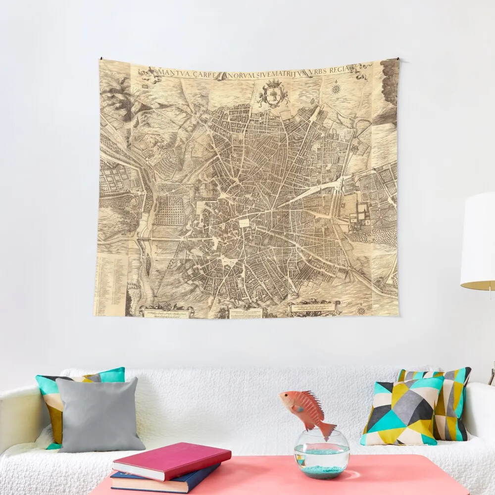 Карта города Мадрид 1656 г. гобелен дон Педро тейксера комнатное эстетическое