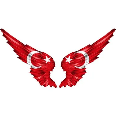 

Moon Star Flag Sticker for Kanata-Shaped Car Mirror 13CM