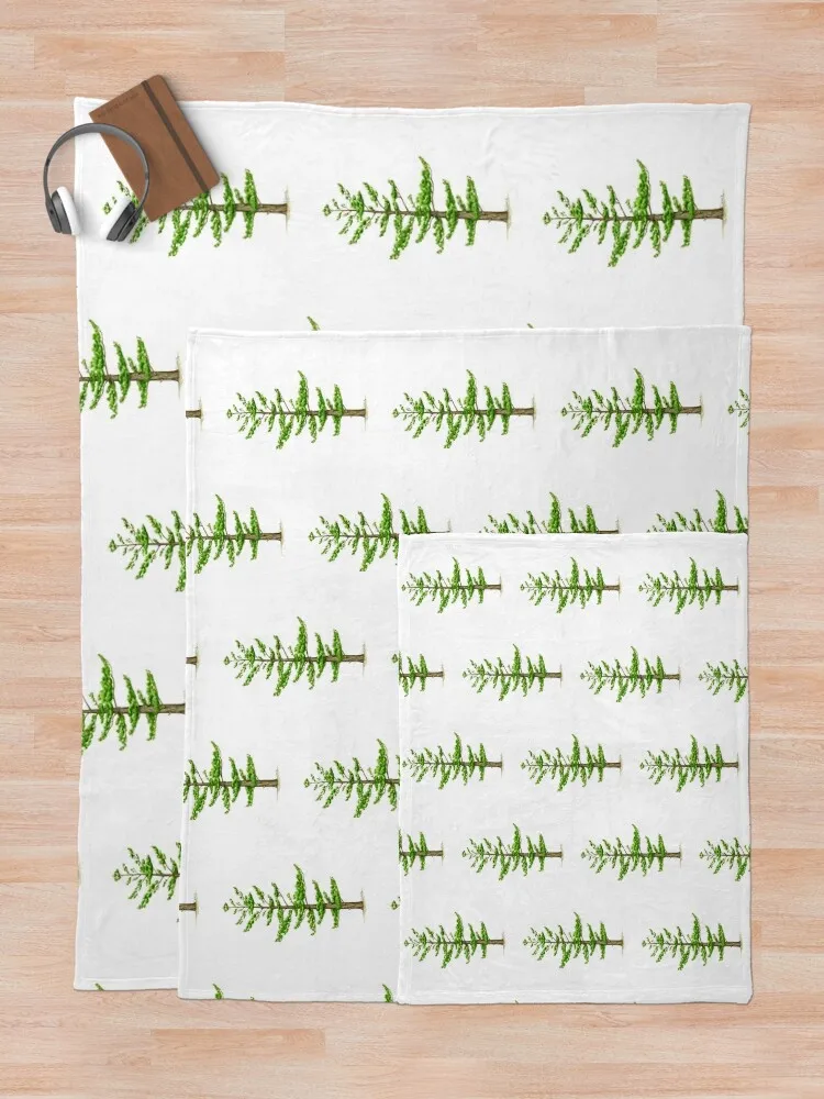 Одеяло из белой сосны (Pinus strobus) Фланелевое одеяло для дивана Декоративный диван