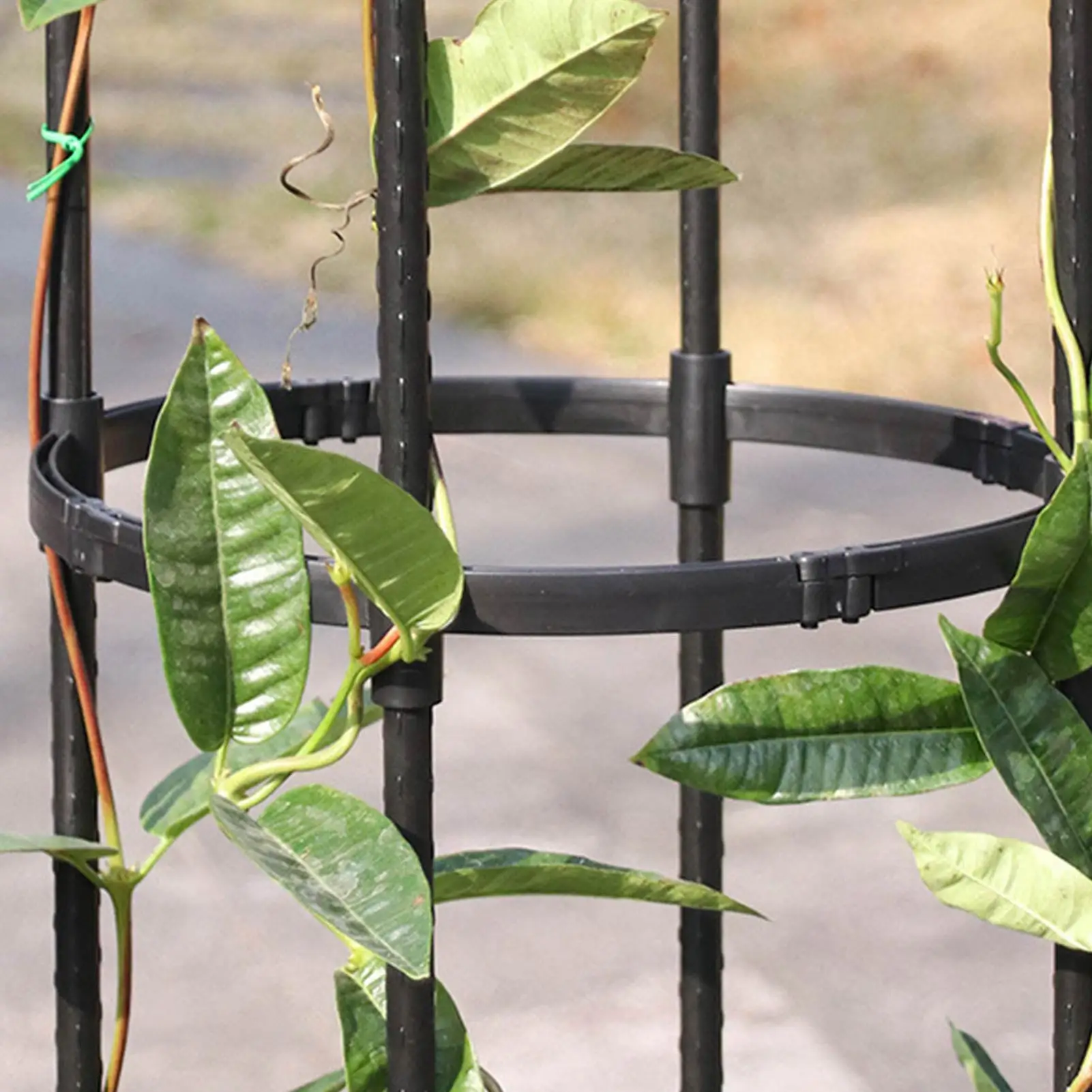 

Garden Obelisk Metal Trellis 3 Sizes PE Coating Steel Flower Support for Climbing Plants 12.5 Inch Diameter Metal Frame Cage for