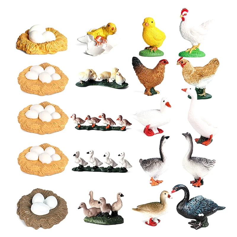 

-5 Sets Simulation Animals Life Growth Cycle Model,Poultry Statue Figures Toys Children Educational Cognitive Toys
