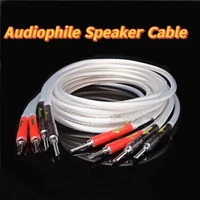 aaudio high quality hifi speaker cable silver plated speaker wire for amplifier and speaker connection
