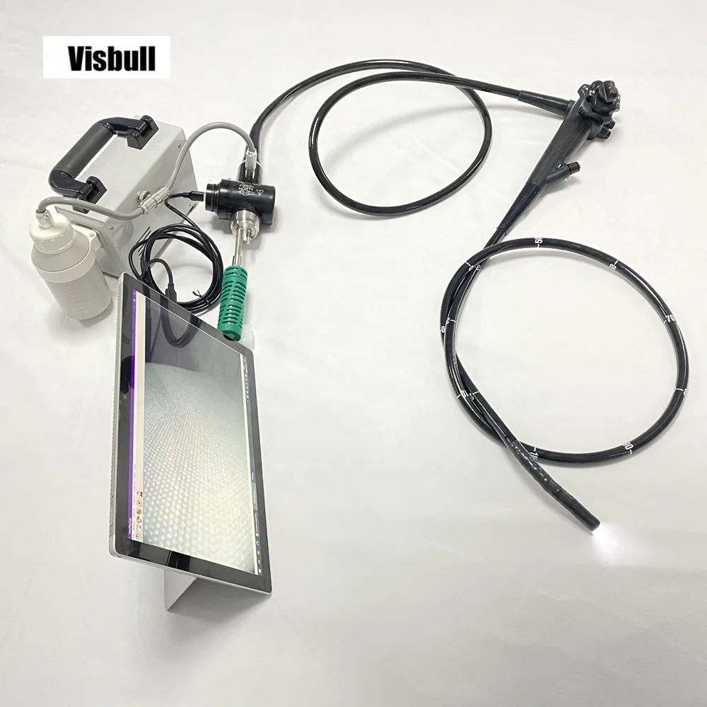 Гибкий USB-эндоскоп VS-V050 Vet портативный ветеринарный видеогастроскоп/верхняя