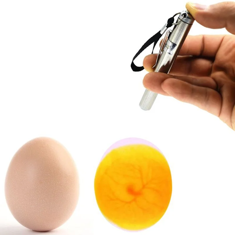 

Incubation Tool Test Light for Eggs Incubator Eggtester Egg Candling Lamp LED Super Cold Equipment Useful