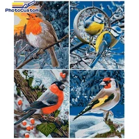photocustom diy paint by number bird drawing on canvas handpainted painting animals diy pictures by number for living room home