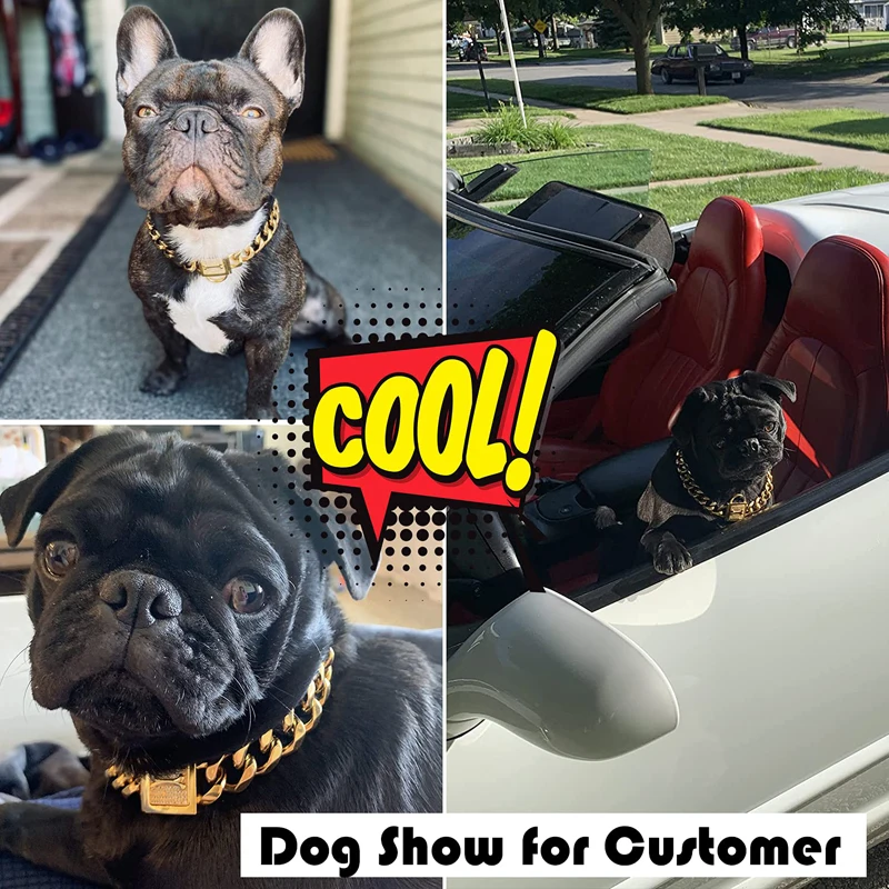 Позолоченный ошейник с цепочкой для собак Benepaw циркониевая Пряжка 19 мм Золотое