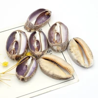 natural shell bead conch shape natural purple shell loose bead for women making diy jewerly necklace accessories 25x40mm