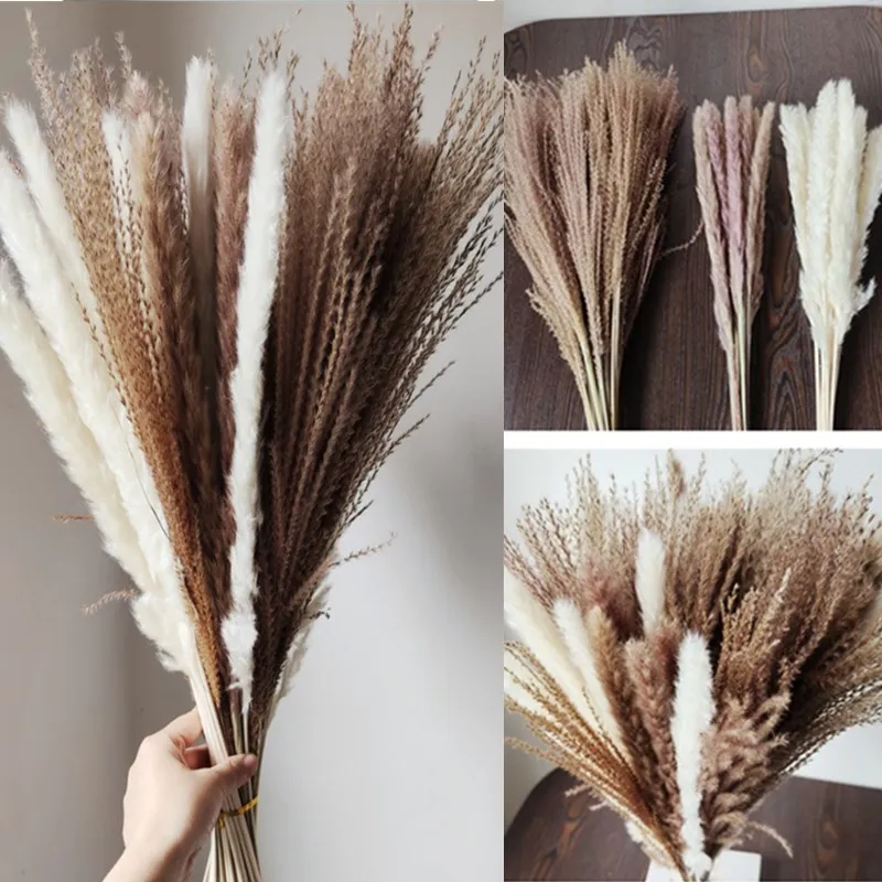 

45cm Pampas Grass Wheat Ears Rabbit Tail Natural Dried Flowers Bouquet Wedding Decoration Hay For Party Bohemian Home Decor