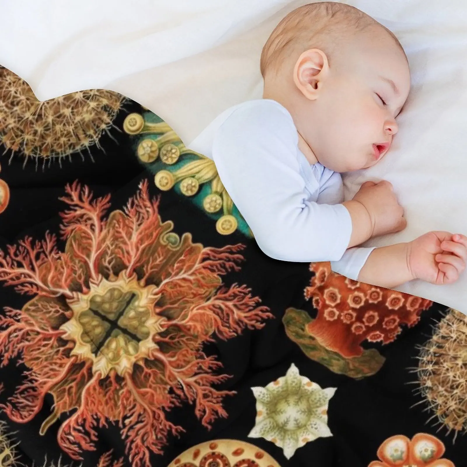 Асцитацея-морские сквирты бросать одеяло модные диваны на заказ Хэллоуин одеяла