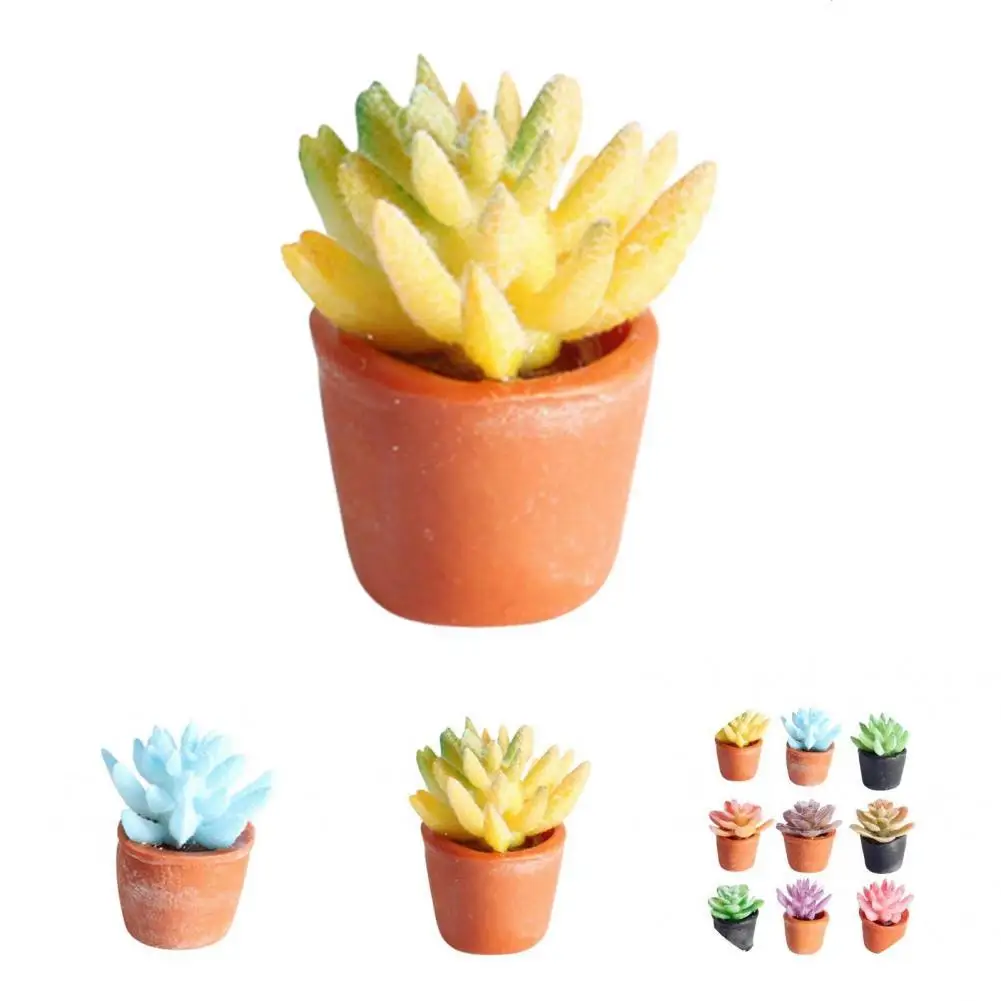 

Cretive Dollhouse Potted High Simulation Resin Succulent Plant Model Succulent Plant Model Doll Decor