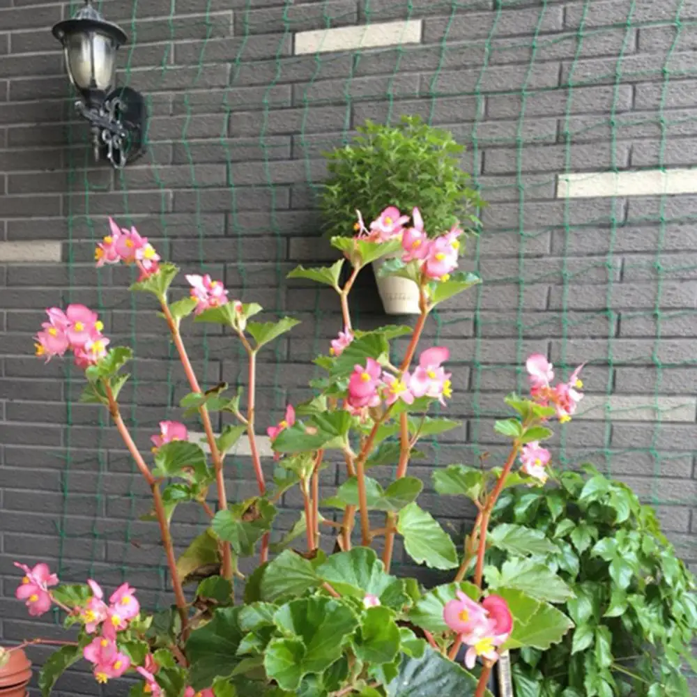 

Climbing Net Green Trellis Netting Net Garden Nylon Vegetable Plant Support Nets Bean Plant Climbing Grow Fence Anti-bird Plant