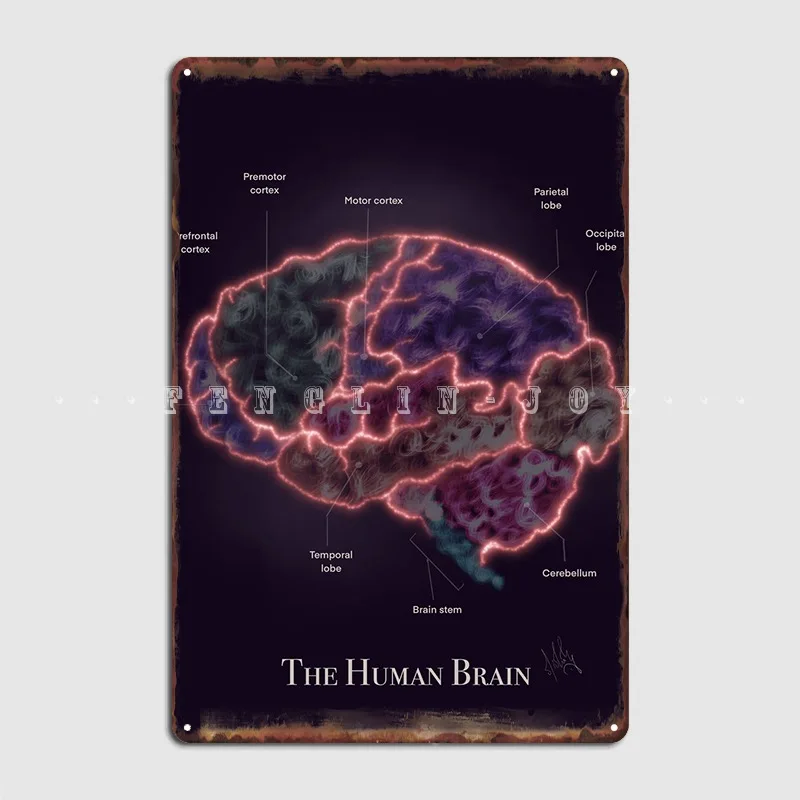 

The Human Brain Poster Metal Plaque Club Home Club Bar Vintage Painting Decor Tin Sign Poster