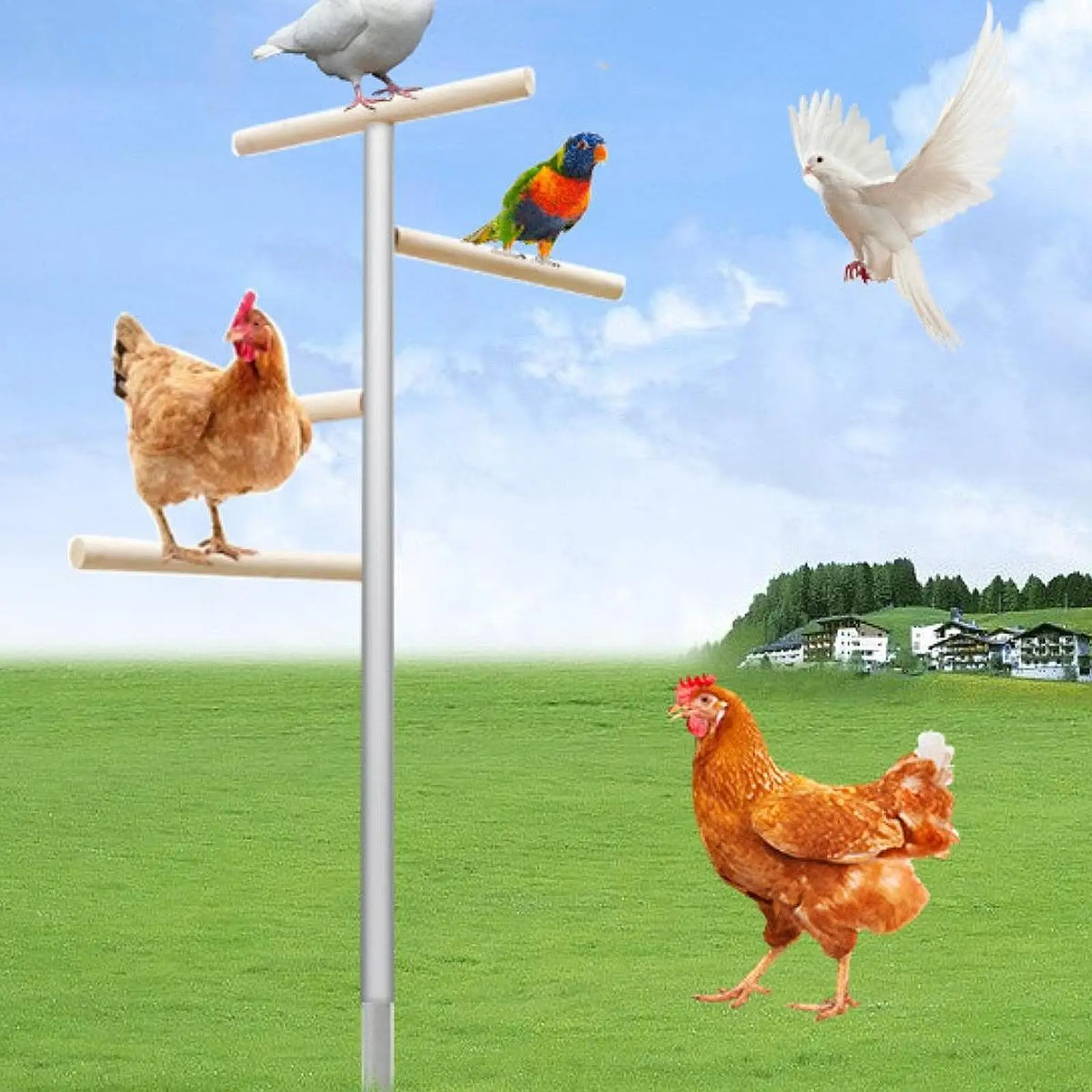 Деревянный Куриный Окунь Для Птичьих Домиков И Курятков — Большая Подставка