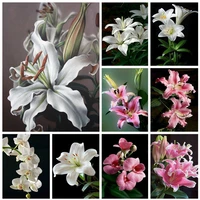 miaodu 5d diy diamond painting orchid rhinestone picture flower diamond embroidery cross stitch new arrival home decor