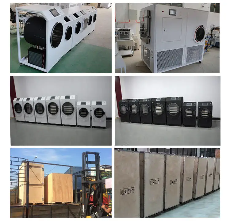 Небольшая сушильная машина для фруктов и лиофилизатор конфет цветов молока с