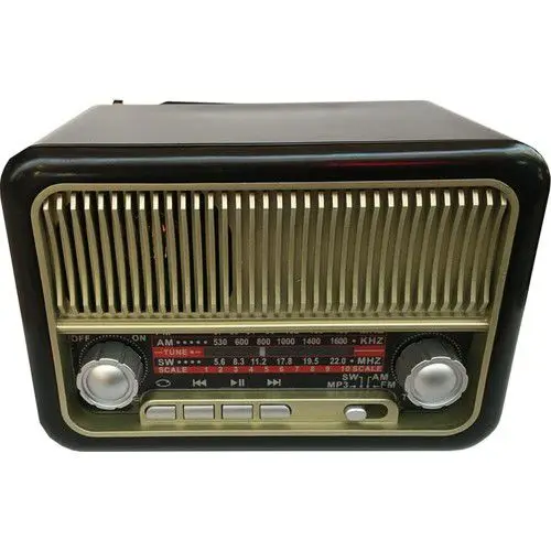 

Everton Rt 308 Radio