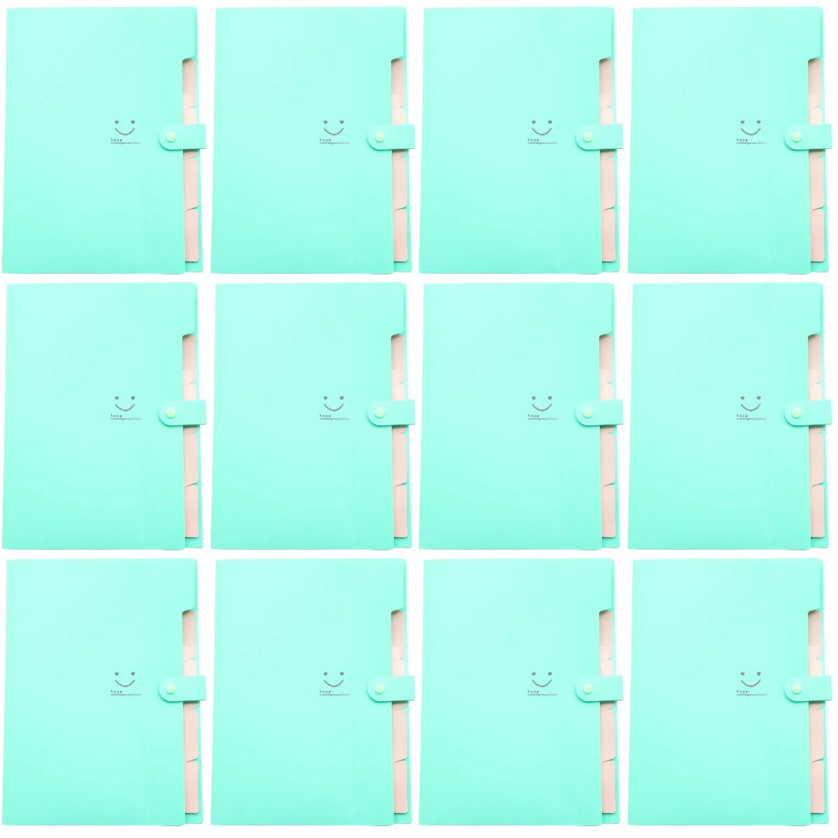 

60 Pockets School Supplys File Folder with Snap Closure Accordion Manager Supplie Expanding