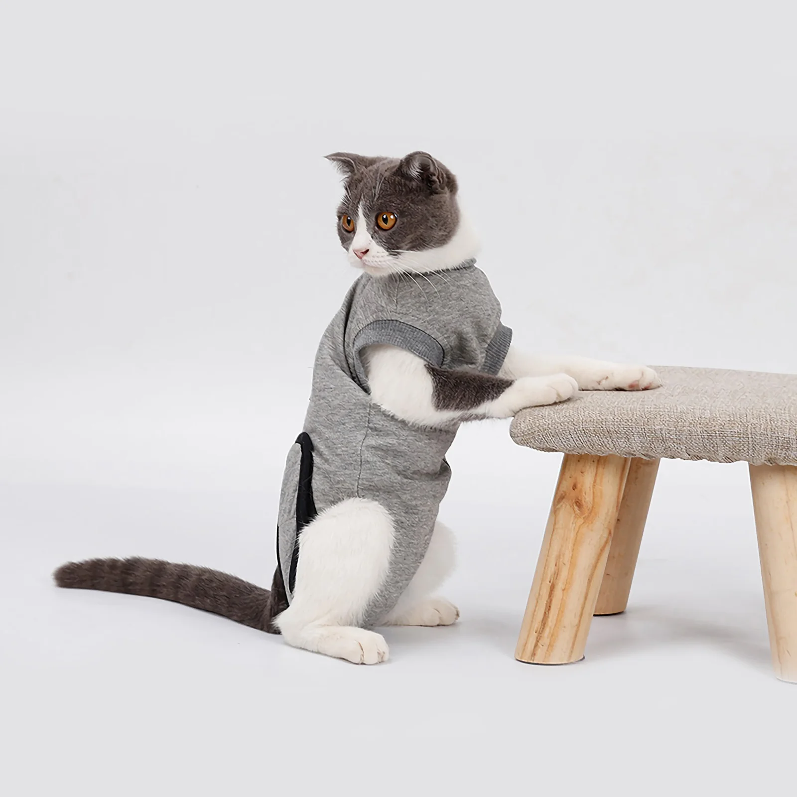 

Cat Recovery Suit- Breathable Recovery Suit for After Surgery Wear Anti Licking Wounds, Jumpsuit- Size ( Grey )