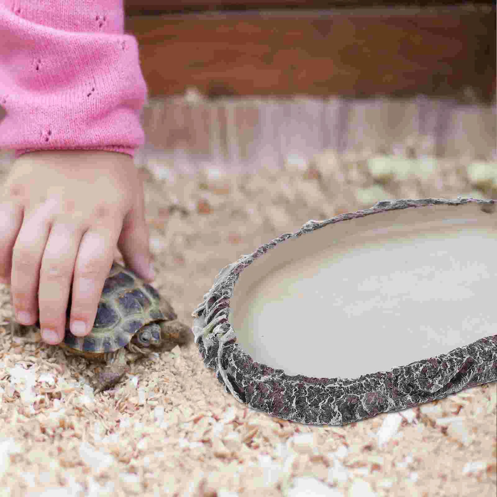 Ящерица Змея Бассейн для воды Рептилия Миска еды Смола Блюдо Животное Борода