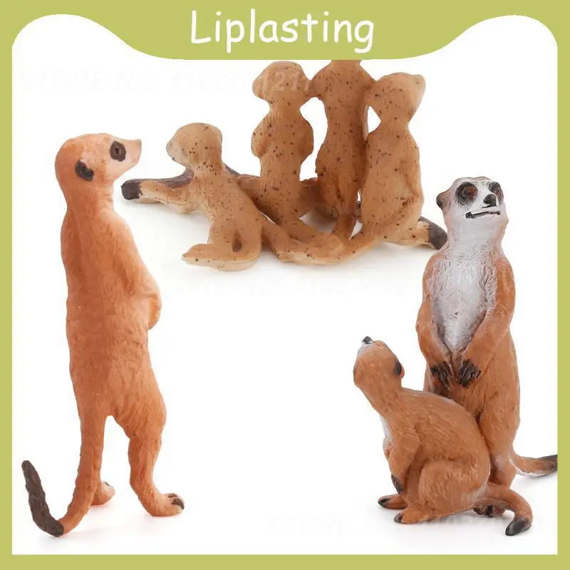 

Small Simulation Wild Animal Meerkat Model Collection Toy Solid Wild Animal Movable Doll Children's Animal Cognitive Toy