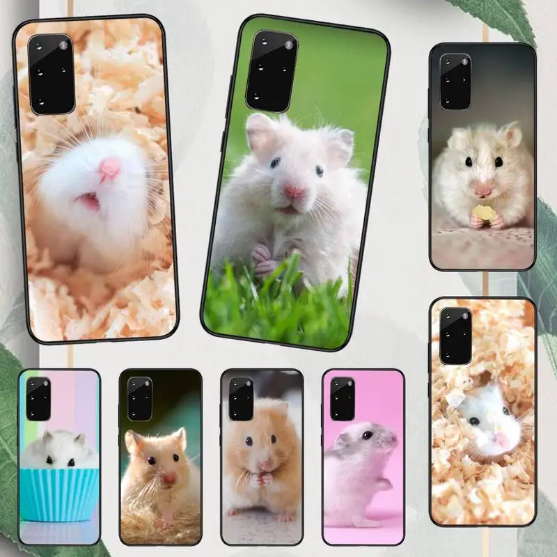 

Hamster cute animal Phone Case For Samsung galaxy A S note 10 12 20 32 40 50 51 52 70 71 72 21 fe s ultra plus