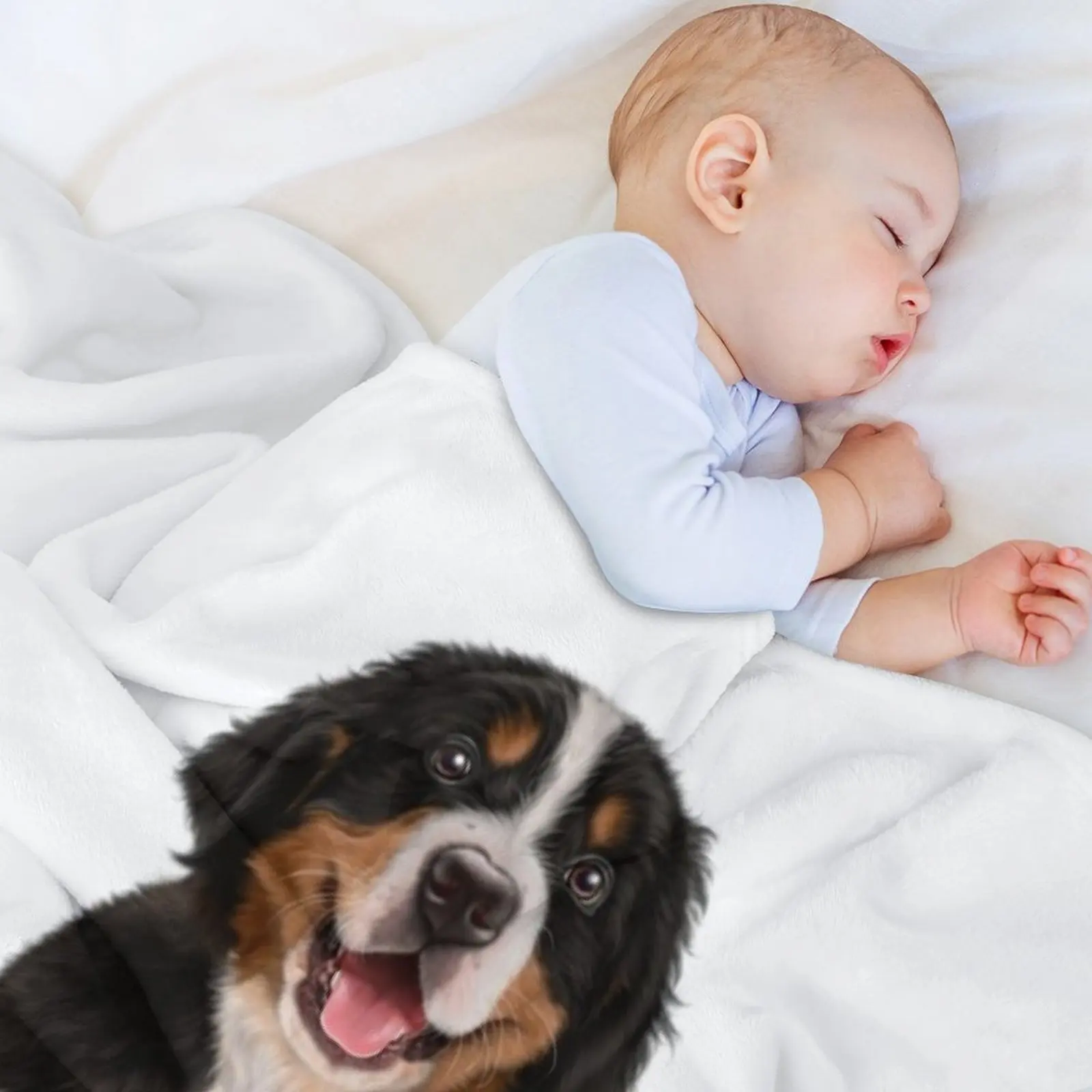 Бернская горная собака одеяло с милым лицом декоративное идея для подарка на