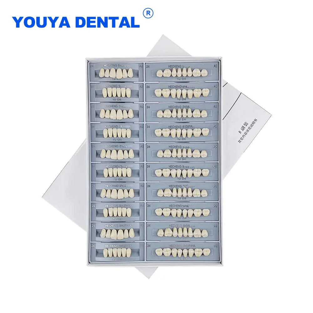 

Набор стоматологических протезов, 28 зубов/комплект, модель переднего и заднего зубов, материалы для стоматологов A2, товары для ухода за полостью рта