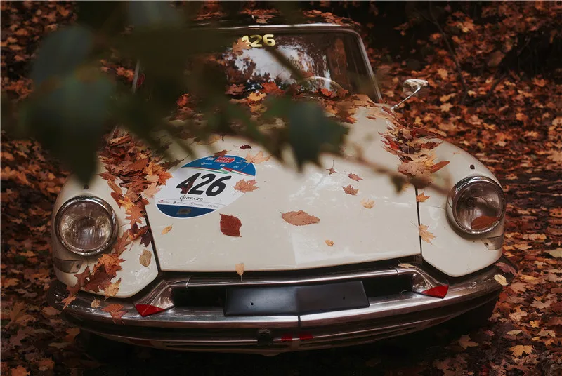 

Украшение для автомобиля, сада, улицы, автобуса, винтажные металлические пластины, аксессуары для украшения гаража, дома, настенный постер, ...