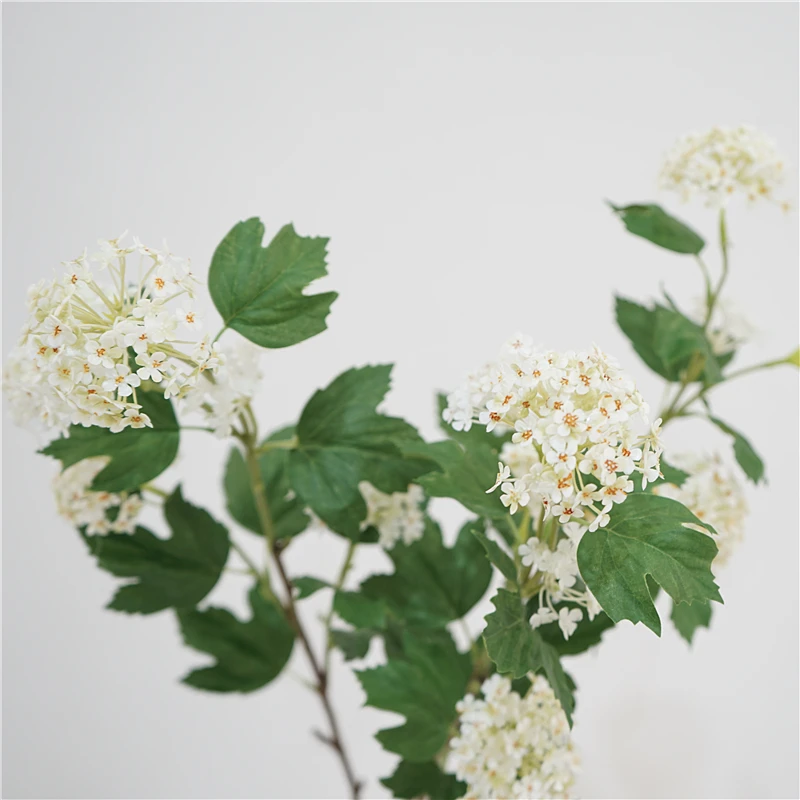 

Flowers Small Pure And Fresh And Romantic Snowball Natural System Simulation