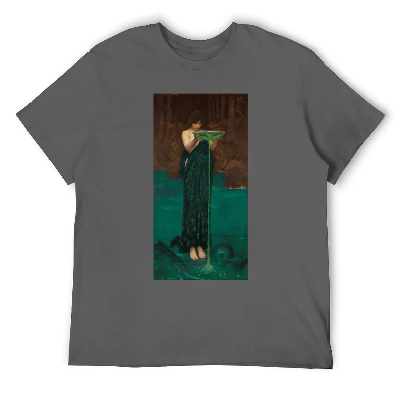 Футболка Circe Invidiosa от J. W. Waterhouse футболка с животным принтом для мальчиков забавные