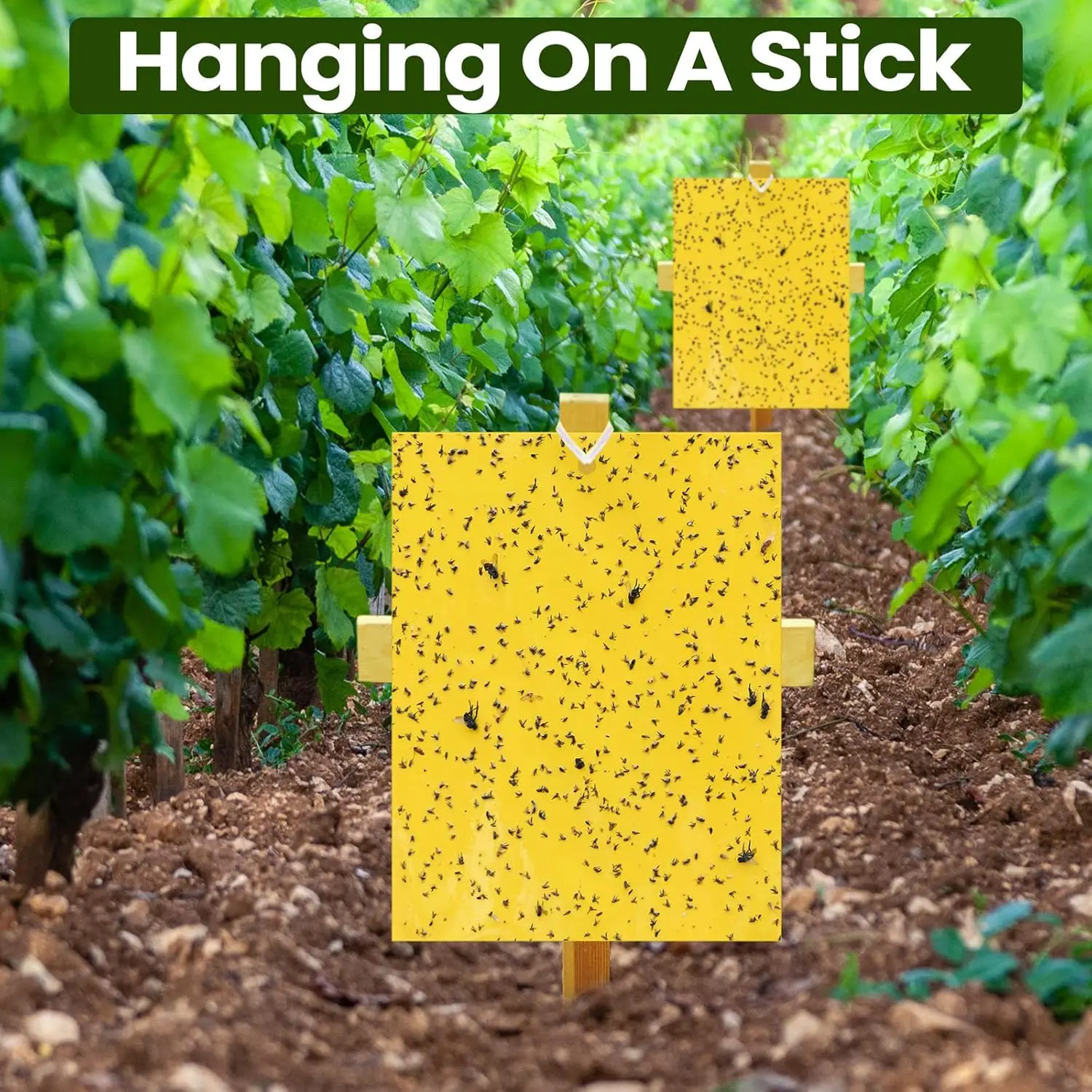 

Липкие ловушки для мух 50 шт