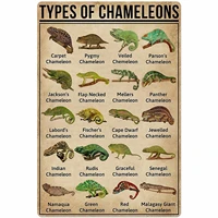 veidsuh types of chameleons retro poster plaque for club cafe bar home kitchen wall decoration
