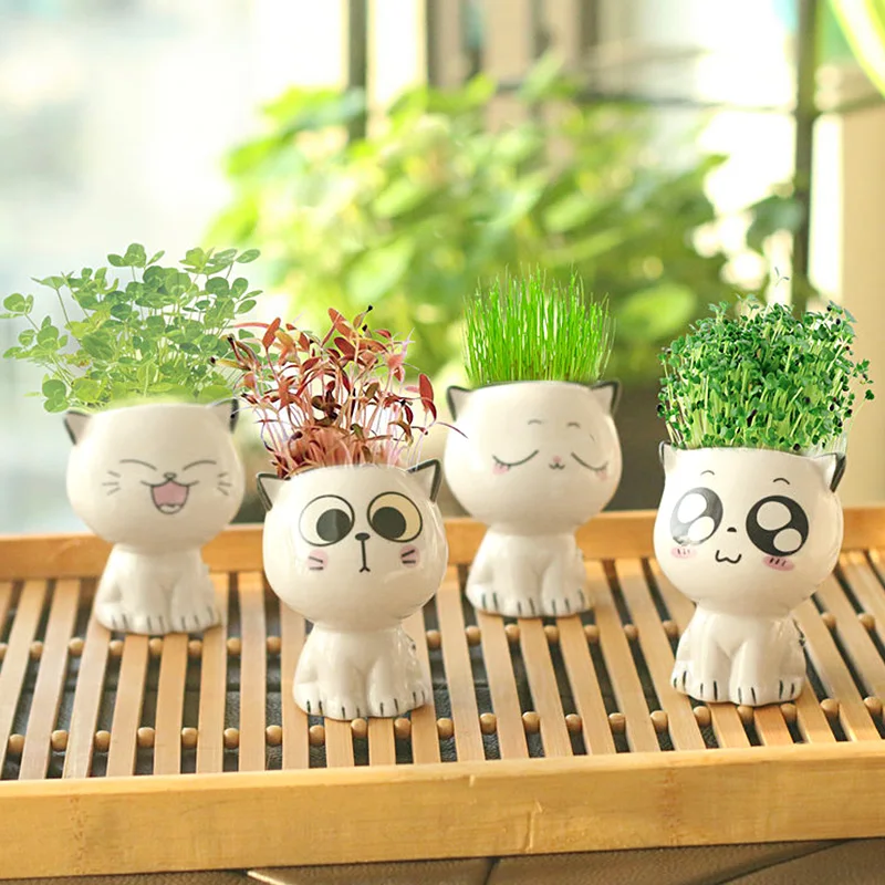 

Home Decor Cute Mini Cat Shaped Ceramic Flowerpot Small Ornament Cartoon Desk Decorate Plant Desktop Potted