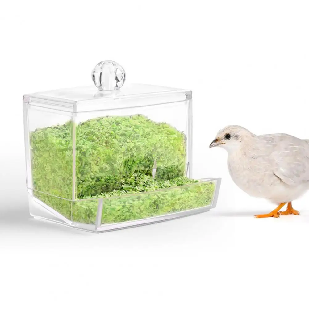 

Pet Feeder Lightweight Chicken Water Feeder Bird Supplies Cage Feeder