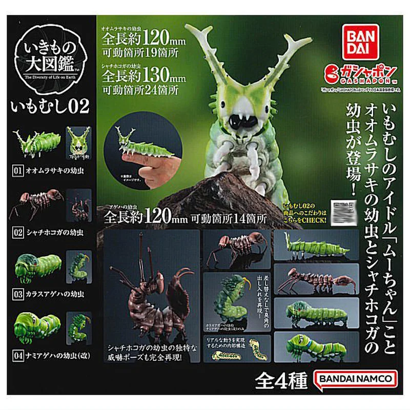 

In Stock Bandai Japanese Gashapon Egg Big Biological Map Of Worm Insect Simulate Biology Joint Movable Model Toys
