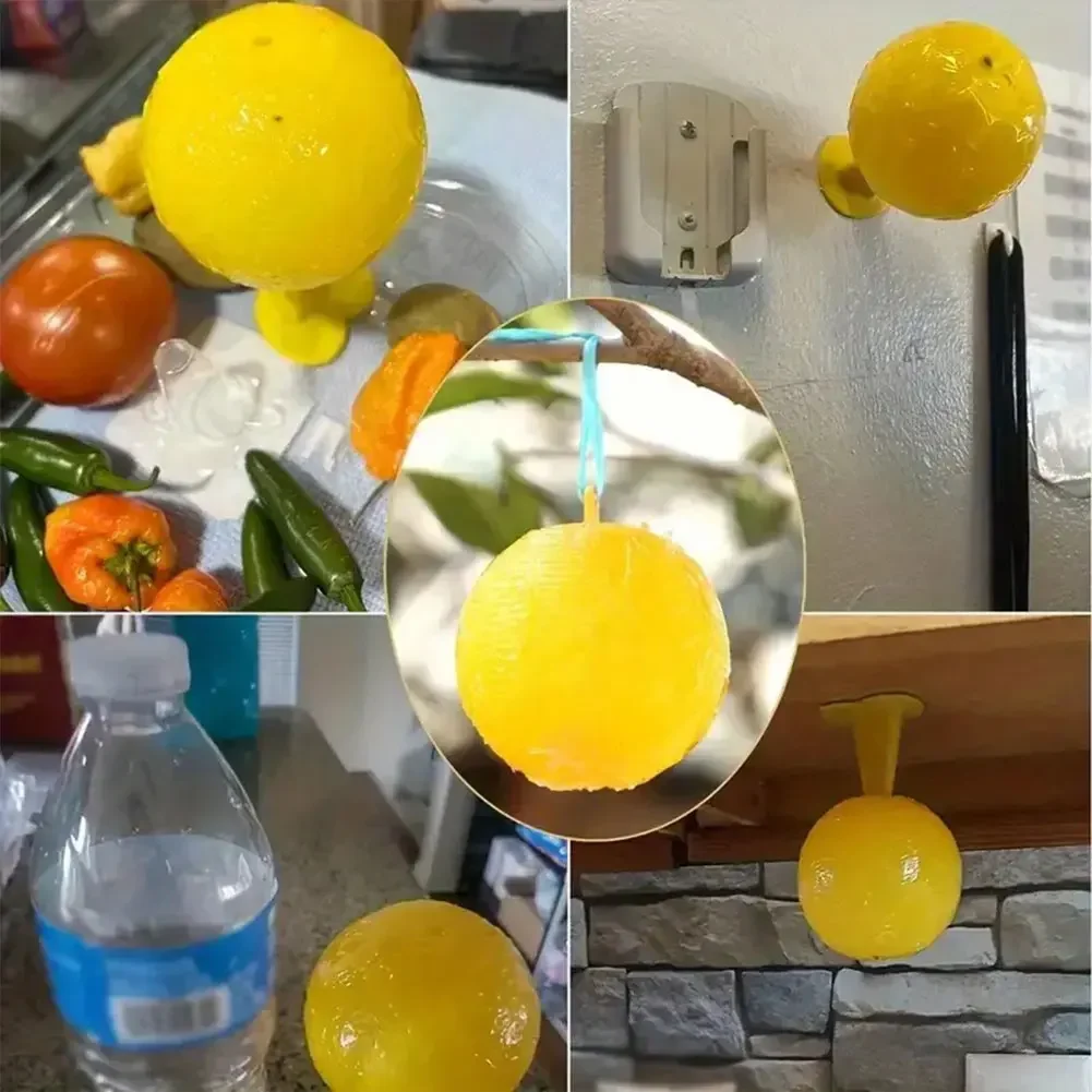 Ловушка для насекомых и фруктов многоразовая ловушка