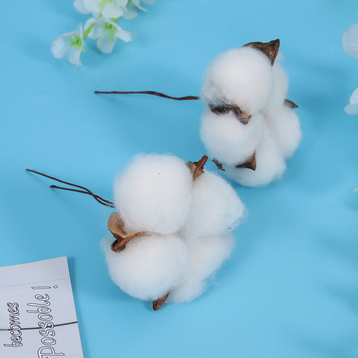 

Dried Cotton Flower Diy Head Flowers Pendant Jewelry Crafts Decors Floral Material Natural Handicrafts Tiny Hand Kapok Small